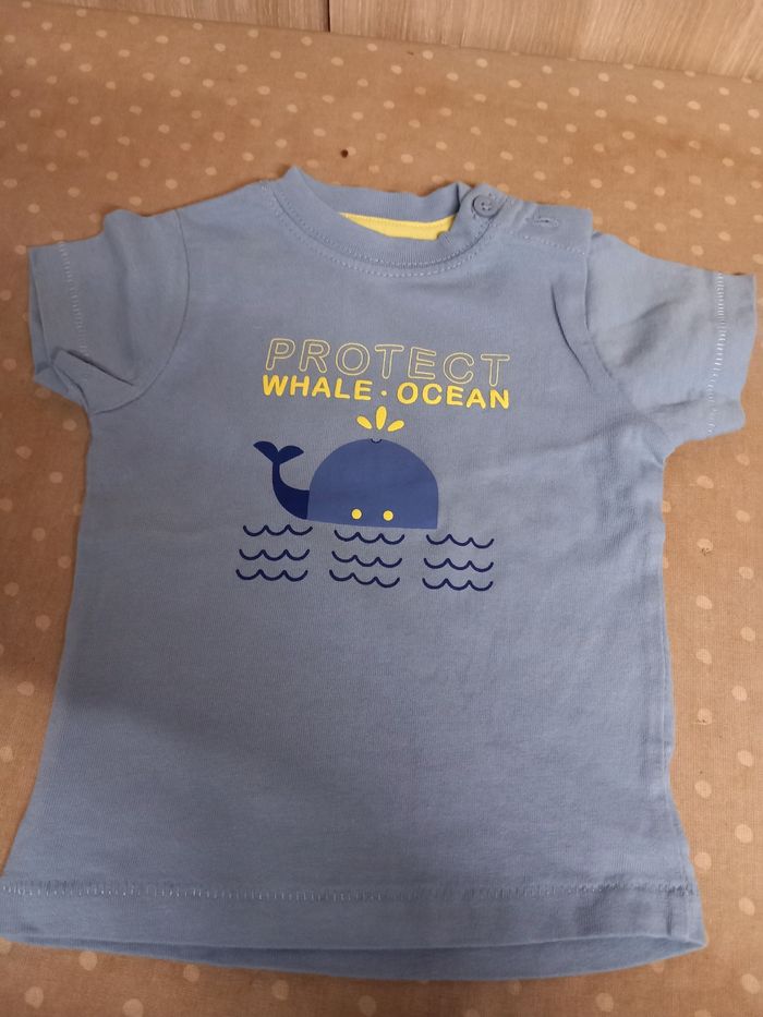 Tee-shirts - photo numéro 6