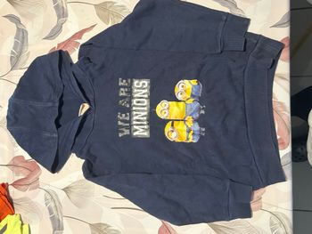  Sweat minions 5 Ans