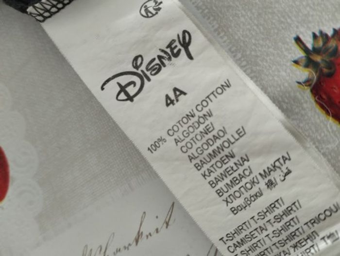 T-shirt manches longues fantasia (4 ans) - photo numéro 4