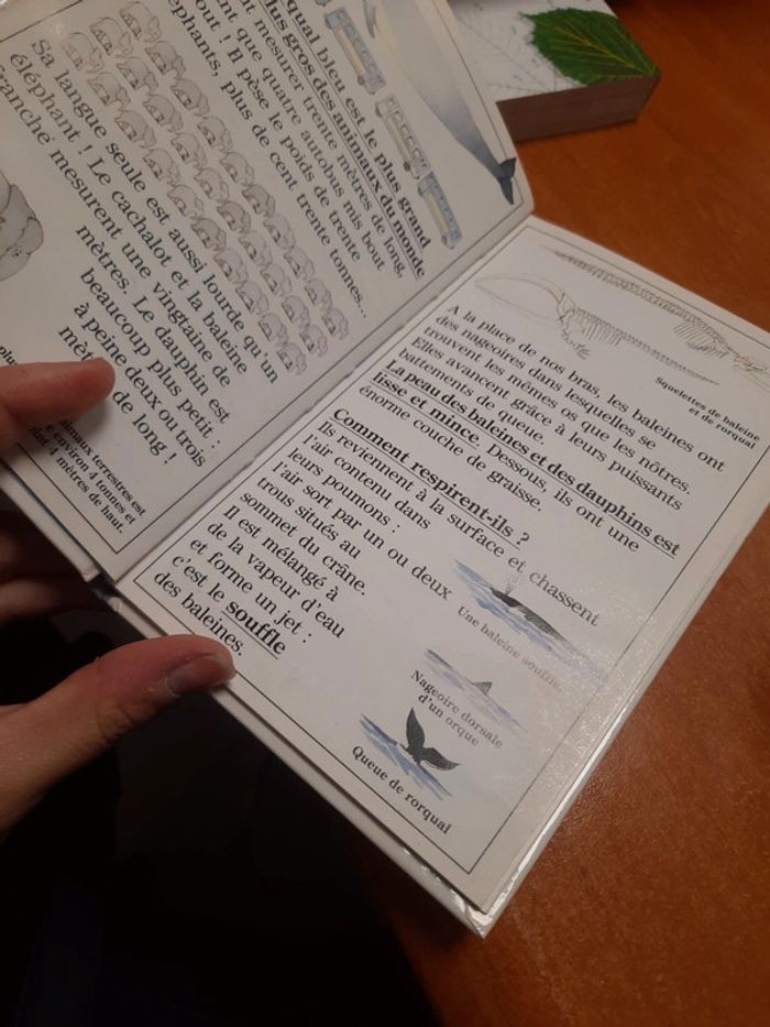 Livre découverte Benjamin - photo numéro 9