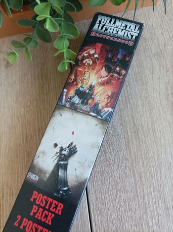 Pack 2 posters Fullmetal Alchemist 