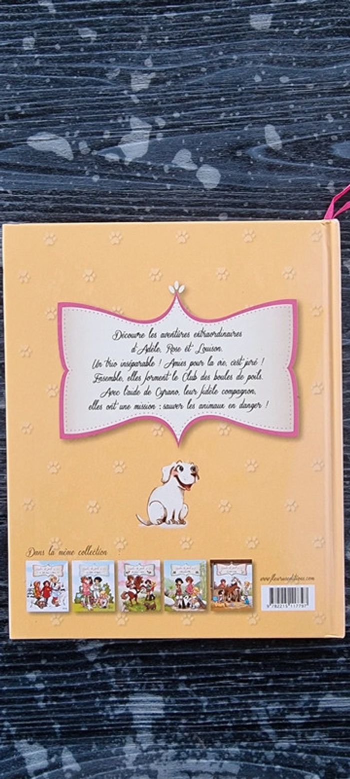 Livre boules de poils et compagnie - photo numéro 2