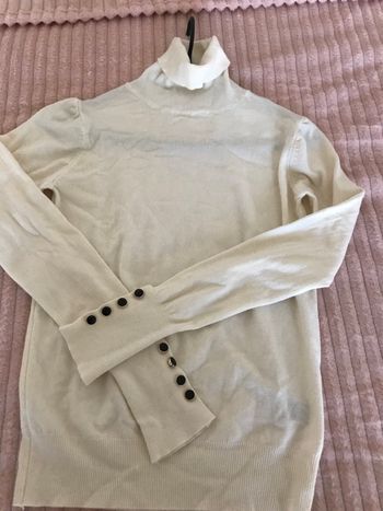 Pulls col roulé