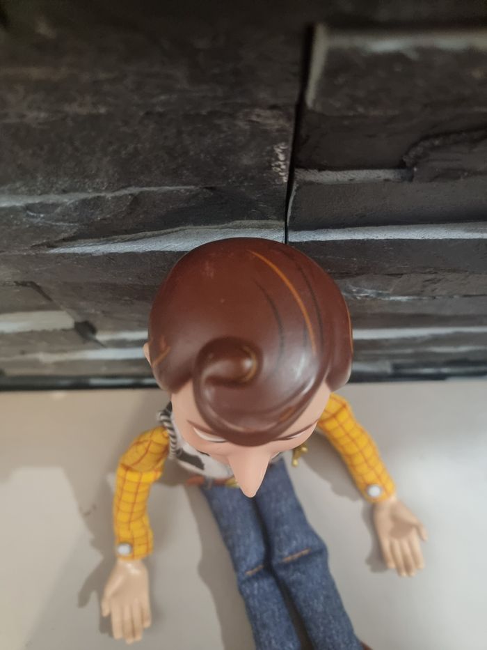 Woody - photo numéro 8