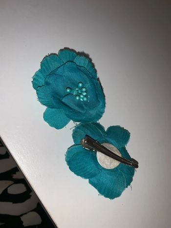 Pince à cheveux