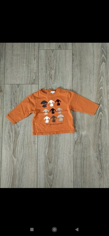 Tee shirts ML 6 mois