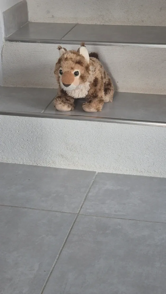Peluches enfant - photo numéro 8