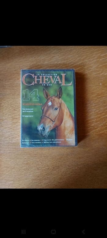 DVD