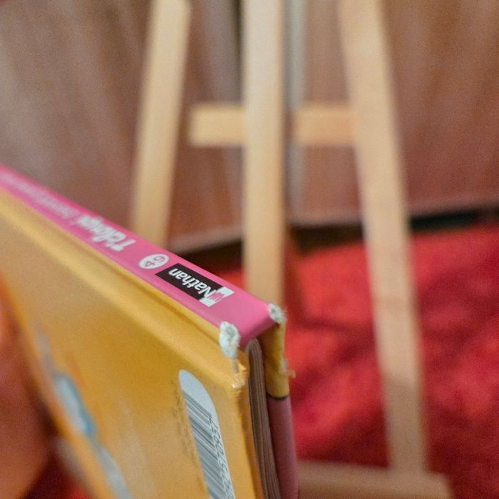 Livre enfant Nathan T’Choupi - photo numéro 3