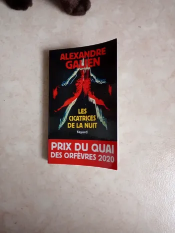 Les cicatrices  de la nuit