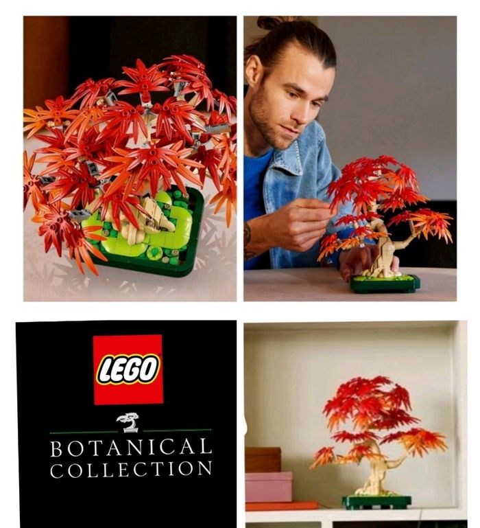 Lego le bonsaï d'érable rouge du Japon - photo numéro 2