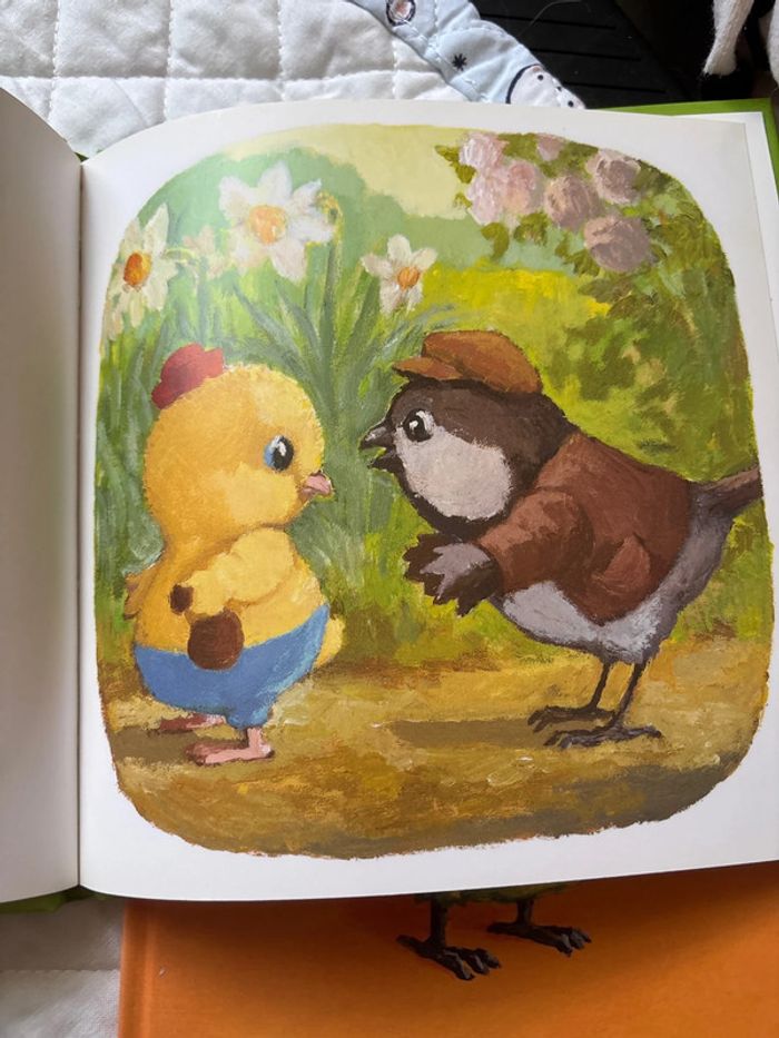 Livre enfant drôles de petites bêtes - photo numéro 3