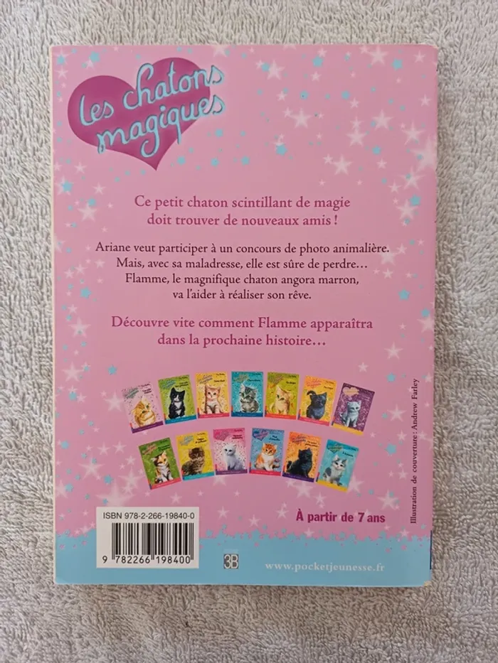 Livre Les Chatons magiques - une photo parfaite (familleac72) - photo numéro 2