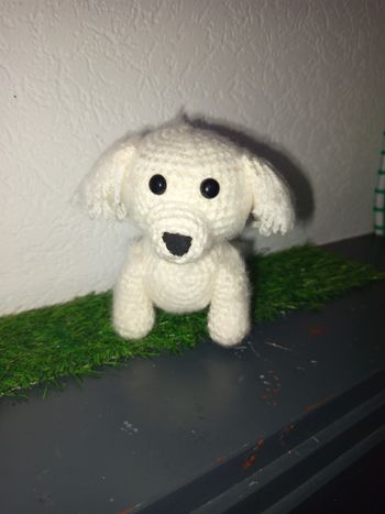 Animaux de compagnie sur commande