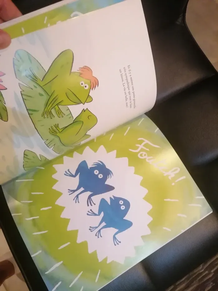 Livre comment apprivoiser une grenouille - photo numéro 6
