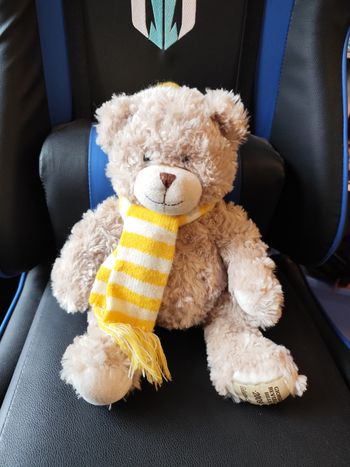 Peluche ourson Giorgio 2009