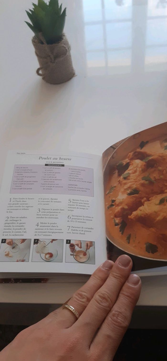 Livre de recette poulet savoureux - photo numéro 3