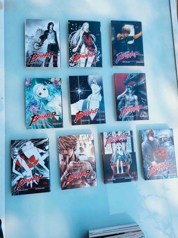Manga The Breaker tomes 1 à 10, première impressions