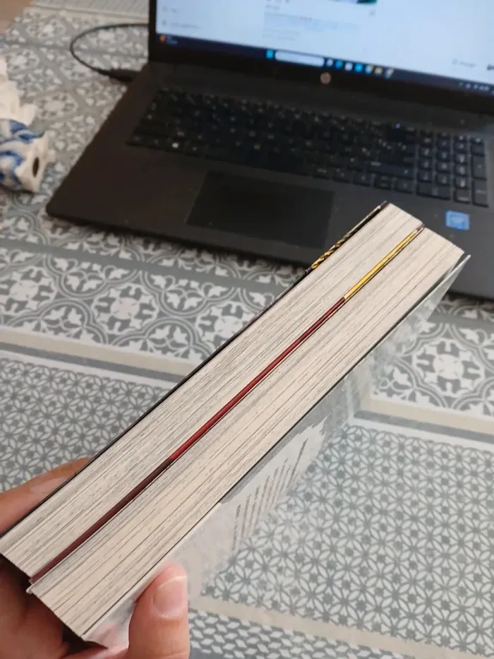 Manga intégral- From the Children’s Country tome 1 et 2 - photo numéro 7