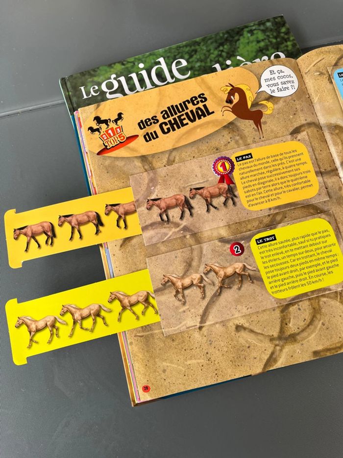 Livres cheval - photo numéro 2