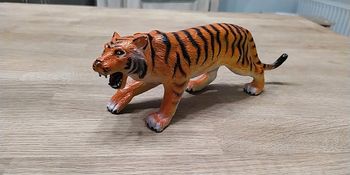 Tigre