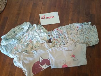 Lot 2 chemisiers et 4 tee shirts manches longues