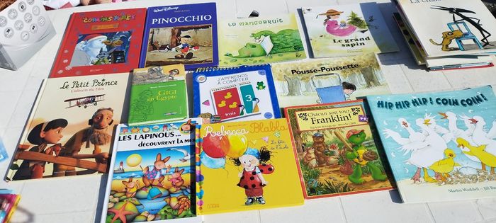 Lot de livres - photo numéro 5