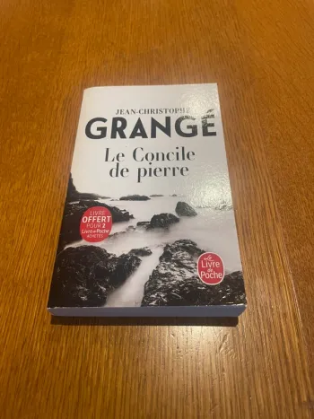 Livre le concile de pierre