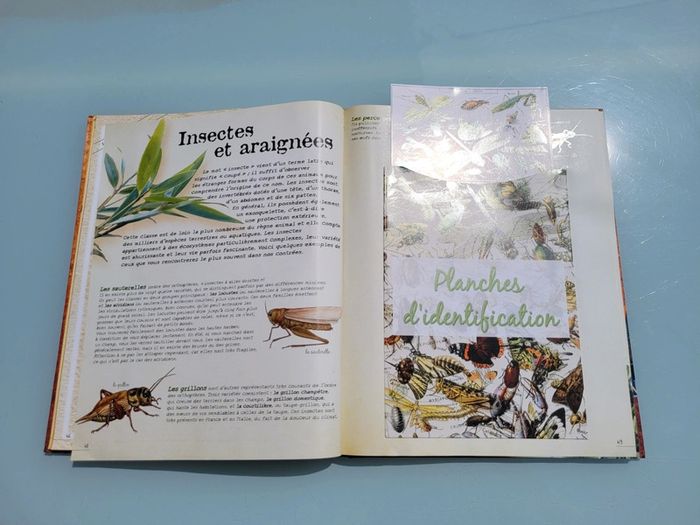 Superbe livre animé Le Boys' Book, tout ce qu'ils adorent de 7 à 77 ans ! - photo numéro 13