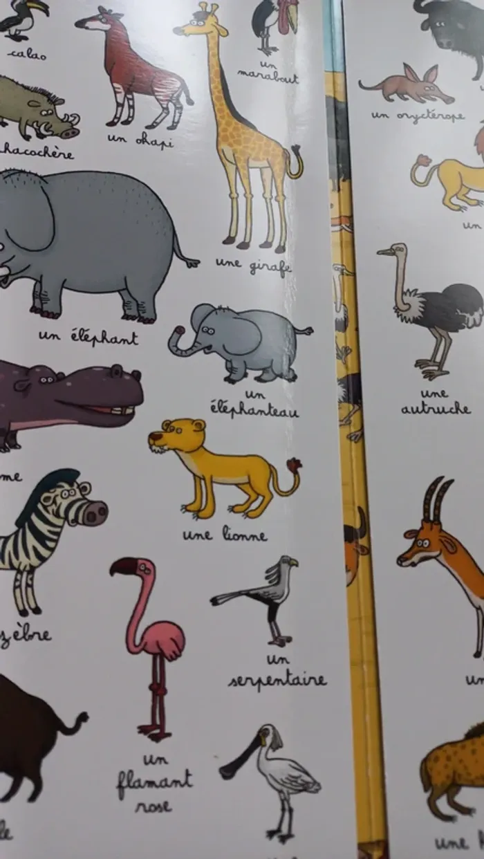 Livre cherche et trouve.Autour du monde - photo numéro 4