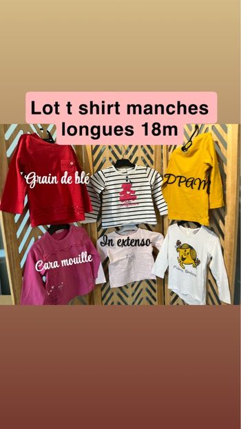 Lot ts ml fille 18m