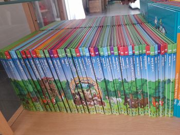 Lot exceptionnel les animaux de la forêt