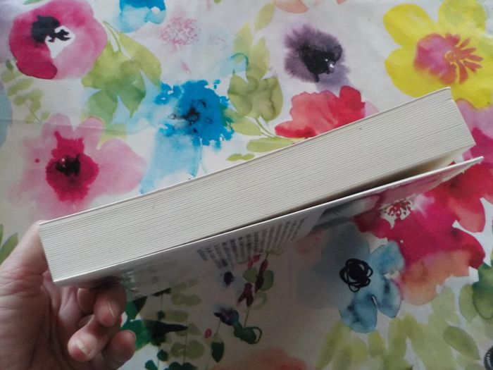 Eve de Guy Hocquenghem Ed. Albin Michel - photo numéro 3