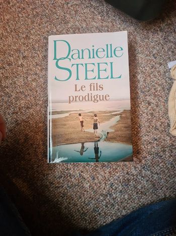 Le fils prodige de Danielle steel