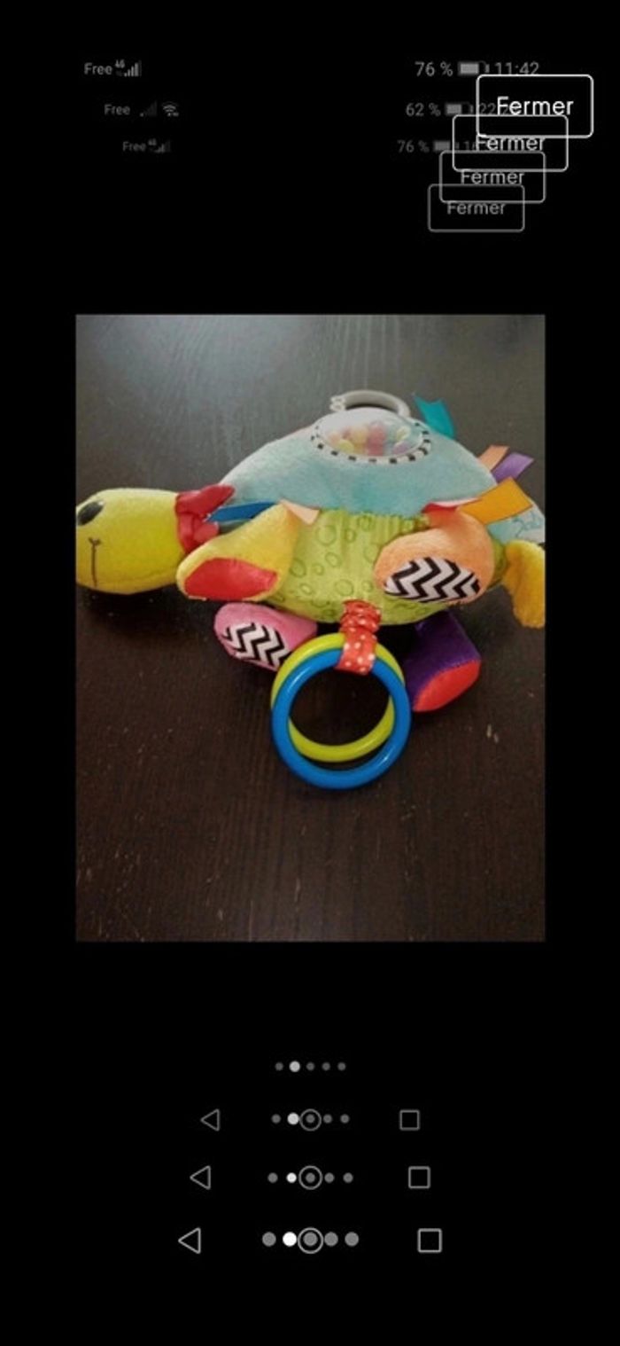 Tortue d'éveil - photo numéro 2