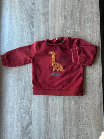 Pull dinosaures 24 mois