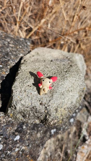 Super petite figurine Pokemon Nintendo Négapi