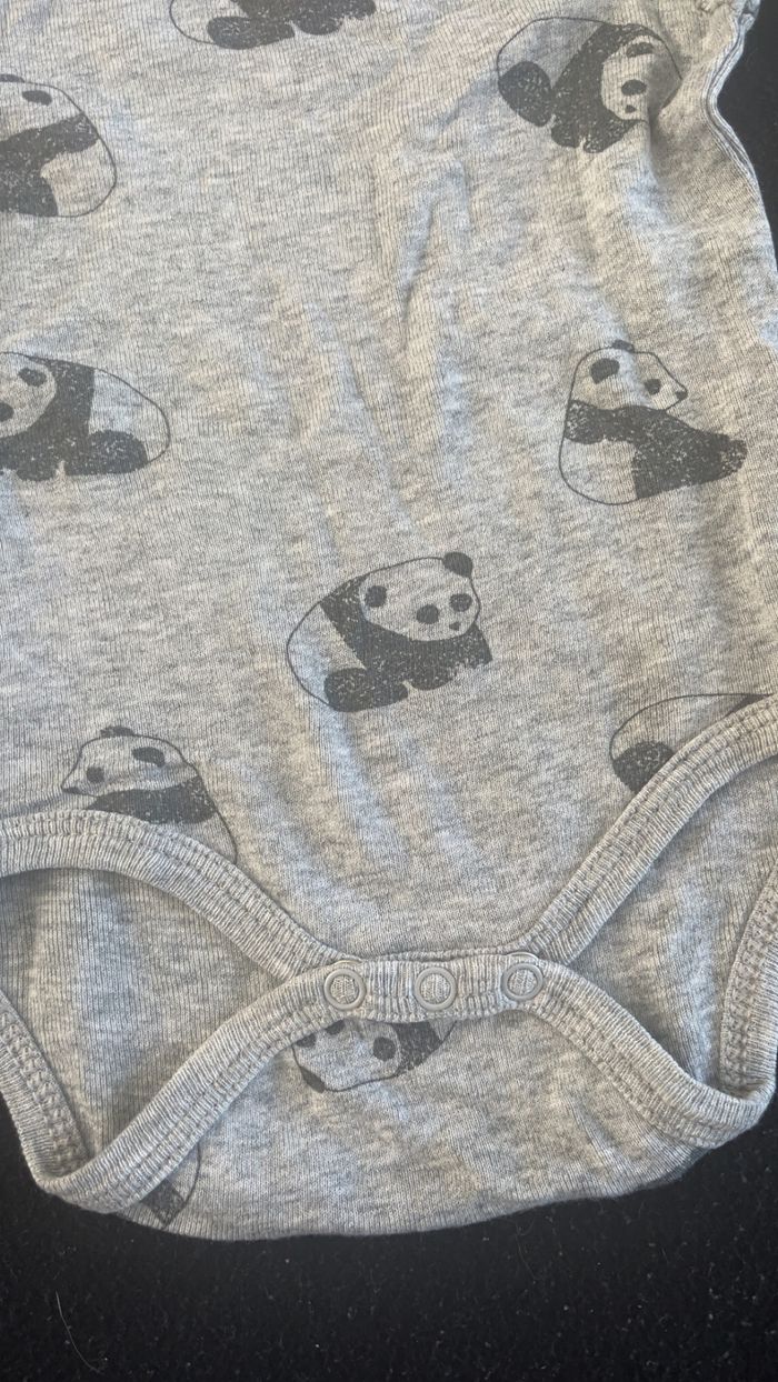 Bodie 3 mois - photo numéro 3