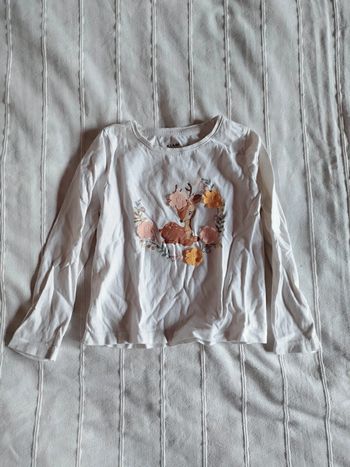 tee shirt manches longues biche 3 ans