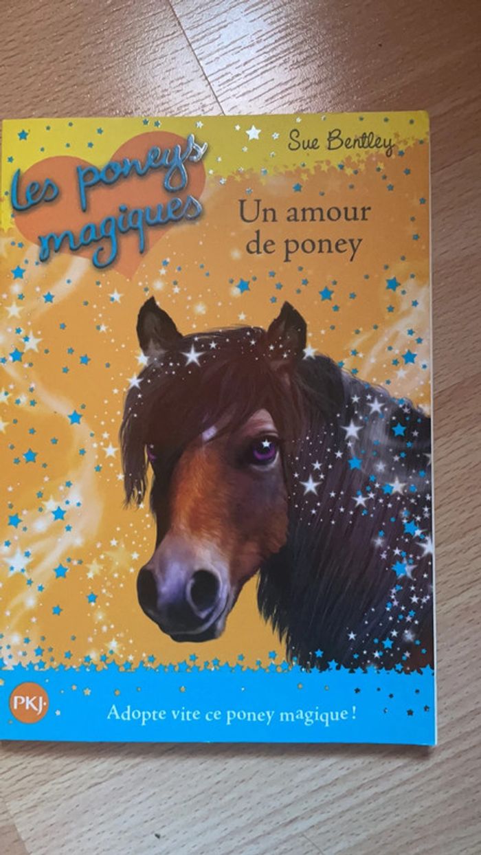 6 Livres sur les cheveaux - photo numéro 7