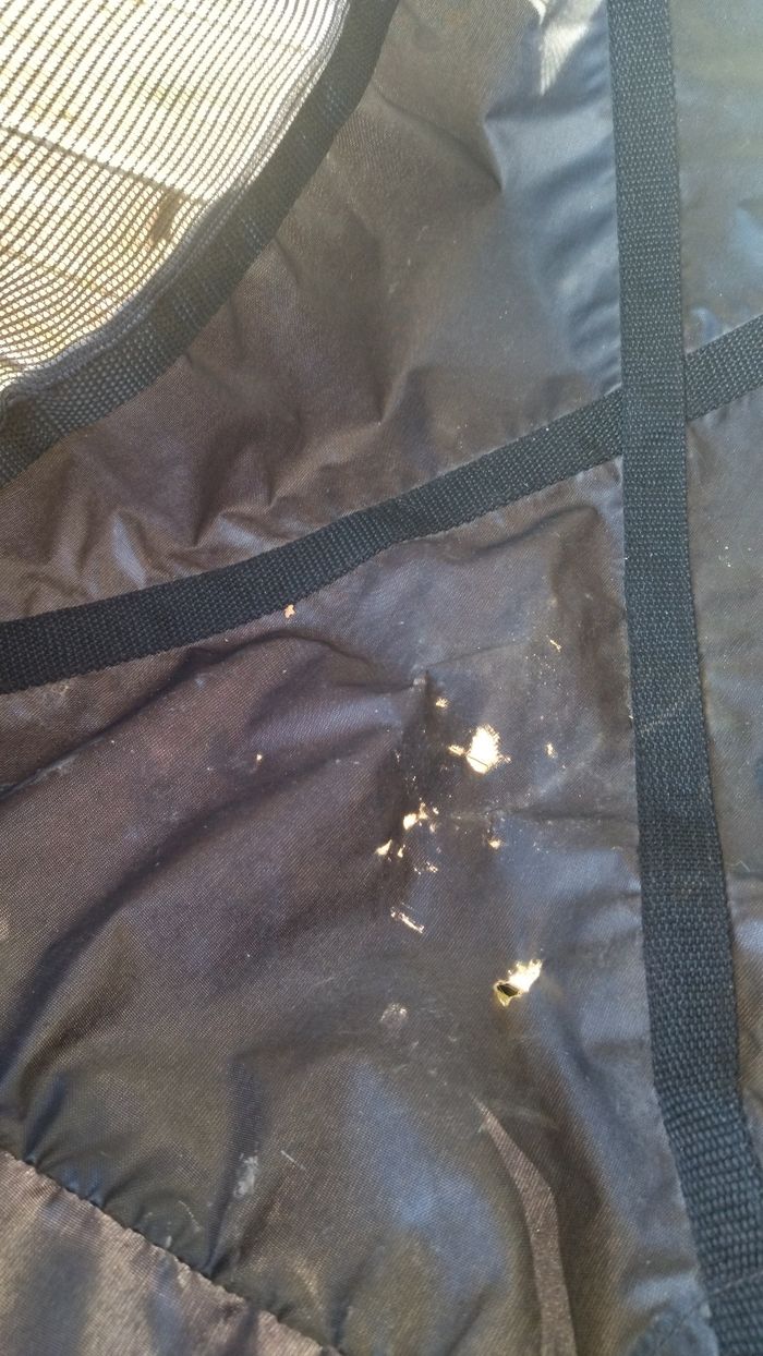 Poussette peg perego book plus - photo numéro 6