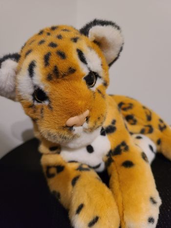 peluche guepard
