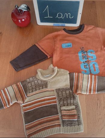 Lot de 2 pulls taille 1 an en très bon état