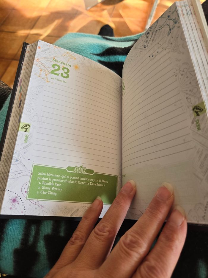 Agenda Harry Potter 2021/2022 - photo numéro 2