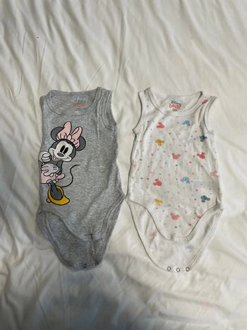 Bodies minnie