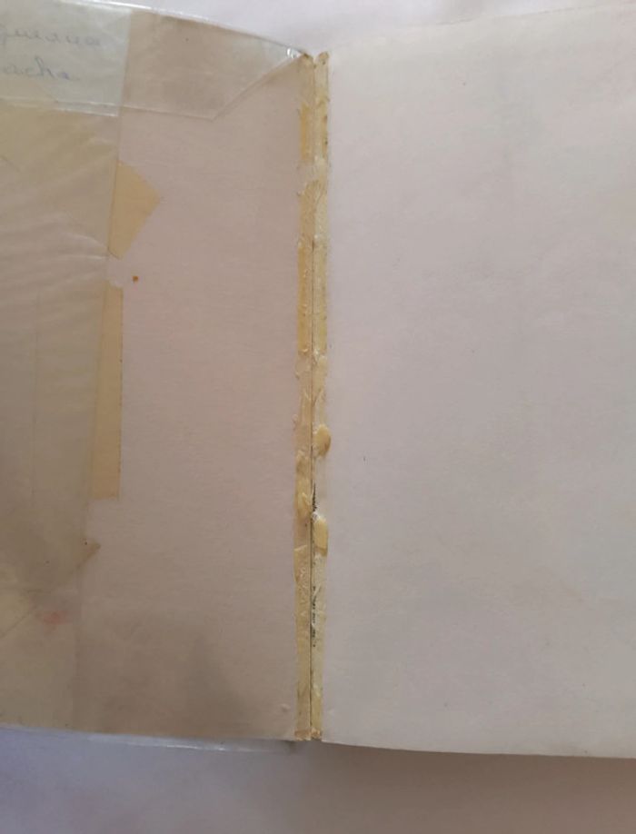 Livre l'île au trésor - photo numéro 7