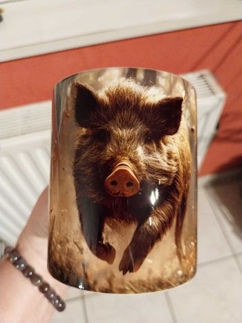 Mug sanglier