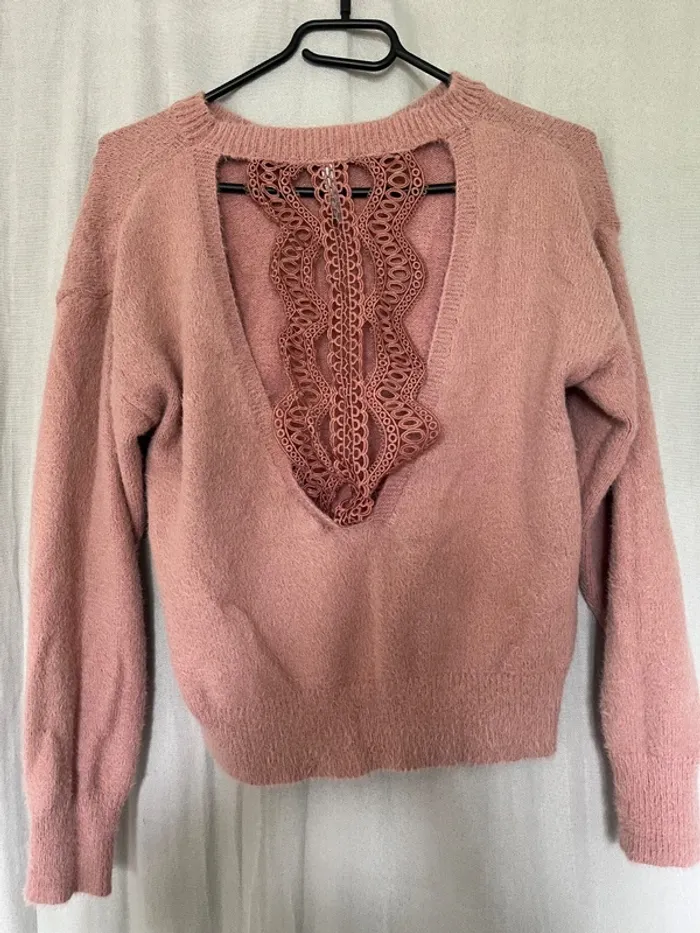 Pull dos nu - photo numéro 5