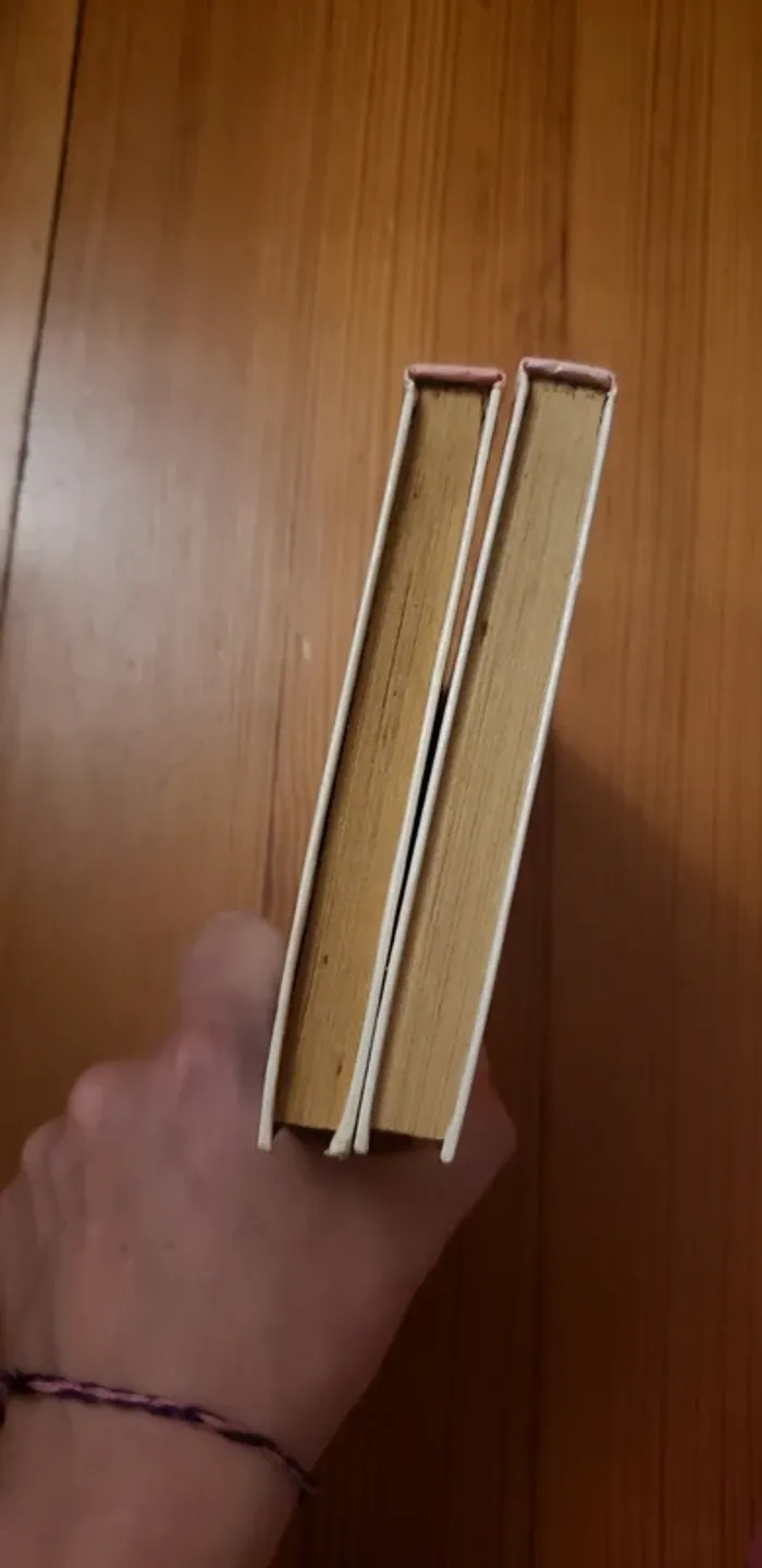 Lot de 2 livres bibliothèque rose Donald Walt Disney - photo numéro 6