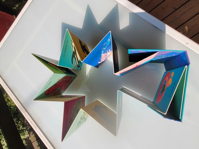 Superbe livre accordéon Amaterra 🪸 Sous la Mer 🐡 - photo numéro 17